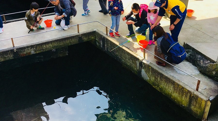 🐠 키노사키 마린월드 이미지 3